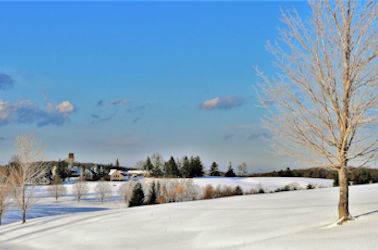 LANDSCAPES